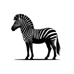 Zebra Line Art Vector – Minimalist Wildlife Illustration Design