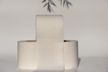 rolls of toilet paper isolated on white background