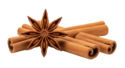 Isolated Cinnamon Sticks and Star Anise