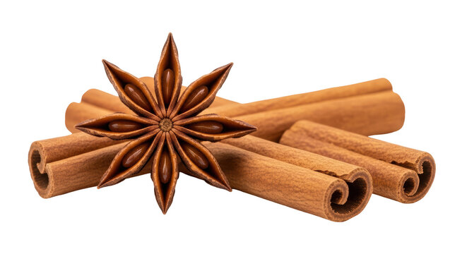 Isolated Cinnamon Sticks and Star Anise