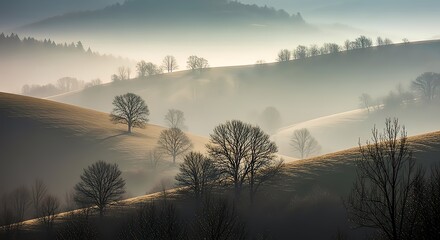 Obraz premium Misty Rolling Hills Landscape with Sunrays and Bare Trees Serene Morning View