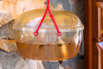 A wasp trap hanging near a house in the garden