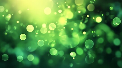 Fototapeta premium nature green bokeh