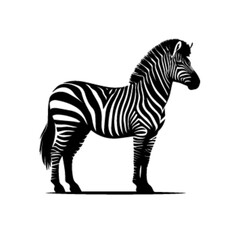Zebra Walking Vector – Graceful Wildlife Movement Illustration