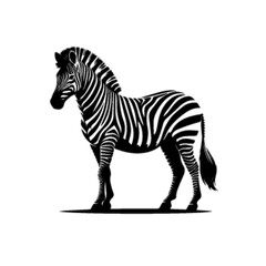 Fototapeta premium Zebra Pattern Vector – Seamless Striped Wildlife Texture Design