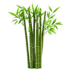 Obraz premium Lush green bamboo stalks grouped together against a plain background capturing nature's tranquility and beauty on transparent background