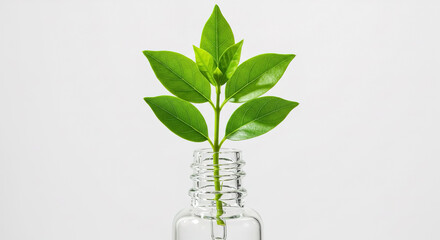 Leaves growing directly out of the cap of a serum dropper, symbolizing natural ingredients, white background with copy space