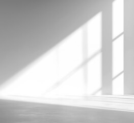 Obraz premium Realistic Window Shadow on Transparent Background 