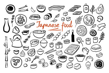 Japanese cuisine doodle on isolated background. Hand drawn sketch with Japan food, seafood, sushi, nori, rolls, Romaine soup, Tempura, Udon noodles, soy sauce, grilled shrimp, bamboo, fish, avocado