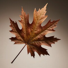 Fototapeta premium Autumn's Embrace: A singular maple leaf in autumnal hues, a symbol of seasonal transition and natural elegance, graces a soft, warm backdrop.
