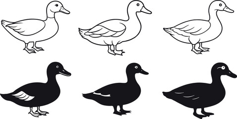 set of ducks vector