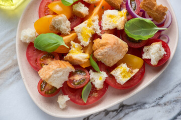Tuscan-style tomato and bread salad or panzanella, horizontal shot, middle close-up, selective focus
