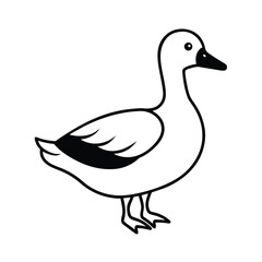 a black and white drawing of a duck vector