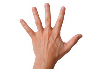 A male's hand with a light skin tone displaying five fingers, symbolizing counting or communication.
