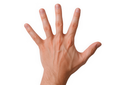 A male's hand with a light skin tone displaying five fingers, symbolizing counting or communication.