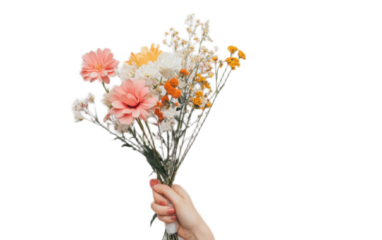 Human hand holding flowers on white background,png