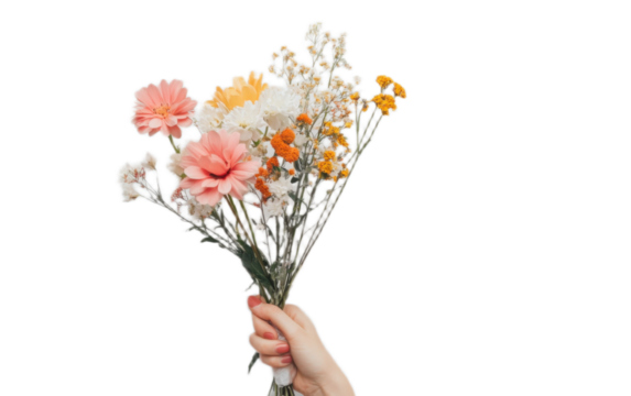 Human hand holding flowers on white background,png