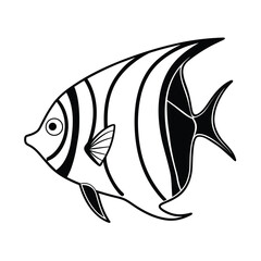 freshwater angelfish outline illustration