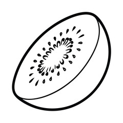hand drawn kiwi slice illustration