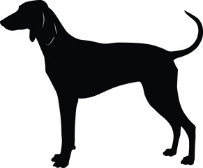 Elegant Hound Dog Silhouette: A Sleek and Graceful Canine Profile for Pet-Related Designs, Representing Loyalty, Agility, and Companionship.