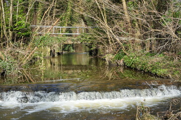 North East Derbyshire, England - March 6 2024: Tranquil woodland stream with small waterfall and footbridge in early spring scenery