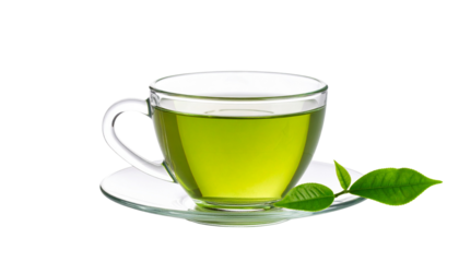 Transparent glass cup of hot green tea with steam rising, isolated on transparent background