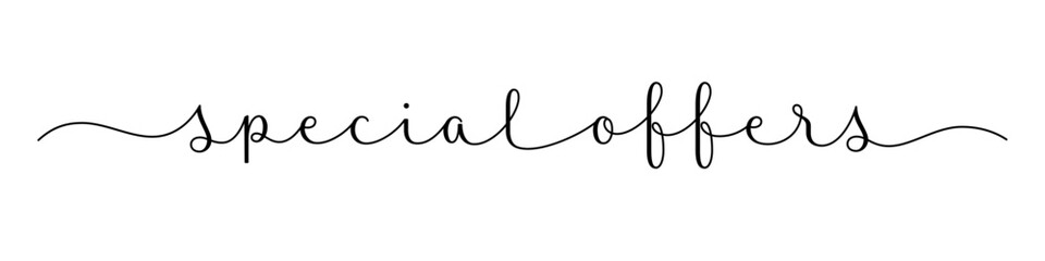 SPECIAL OFFERS black vector brush calligraphy banner with swashes