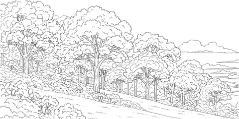Fototapeta premium Cad tree line minimal style, set of graphics trees elements outline symbol for architecture and landscape design drawing. Vector illustration.