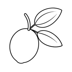 outline drawing of olive garnish