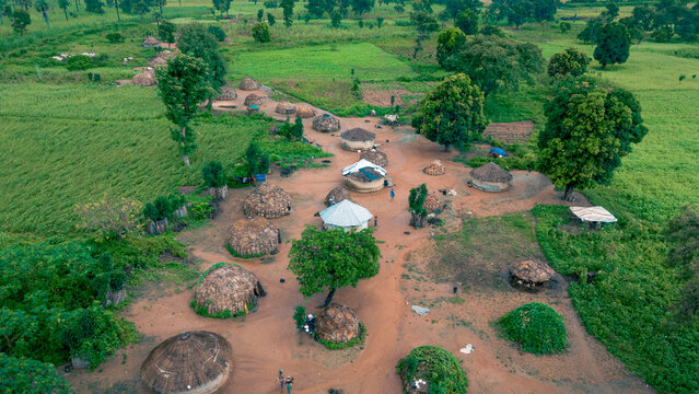 Ashige, Nigeria - 25 July 2025: Aerial view of thatched huts nestled among vibrant green fields and scattered trees, a tapestry of rural life under a vast sky.