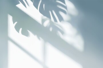 Shadow of a window and monstera reflected on the white wall