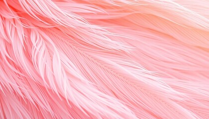 Fototapeta premium Soft, pastel pink and orange feather texture, delicate and airy, macro, downy