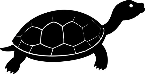 Cute, isolated tortoise with a textured shell walking slowly on a white background