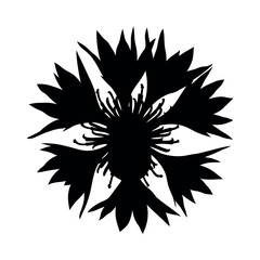 Cornflower silhouette floral design isolated on white background