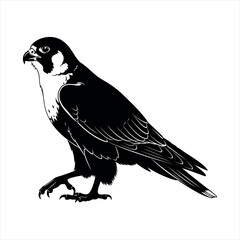 Majestic falcon in flight silhouette design isolated on white background