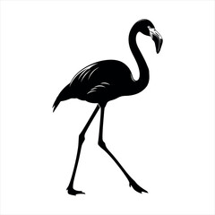 Elegant flamingo silhouette in profile isolated on white background
