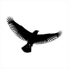 Graceful bird in flight a striking silhouette isolated on white background