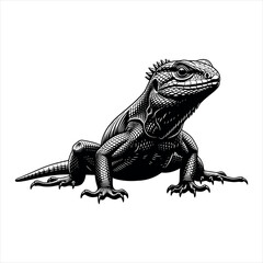 Illustration of a lizard in silhouette isolated on white background