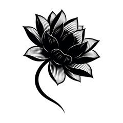 Obraz premium Elegant lotus flower silhouette design isolated on white background