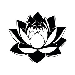 Elegant lotus flower silhouette isolated on white background
