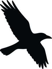 Silhouette raven flying bird black graphic animal vector illustrator