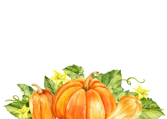ripe orange and beige pumpkins with green leaves, stems and yellow flowers, watercolor autumn harvest illustration, hand drawn sketch, frame for Halloween, thanksgiving day, fall festival decoration
