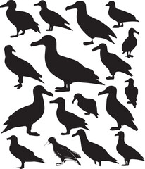 Albatross silhouette vector art illustration