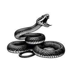 Stylized snake silhouette in vibrant colors isolated on white background