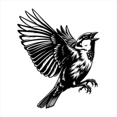 Elegant sparrow bird silhouette flying gracefully isolated on white background