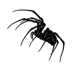 A striking spider silhouette design isolated on white background