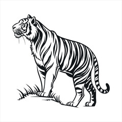 Majestic tiger silhouette a powerful wild animal in profile isolated on white background