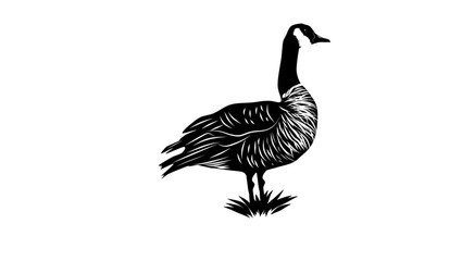 Canada Goose, black isolated silhouette