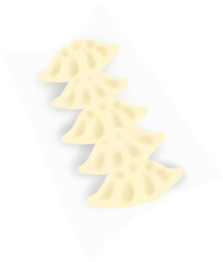 dumpling on the dish