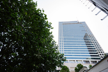 Modern skyscraper surrounded by lush trees on a sunny urban day